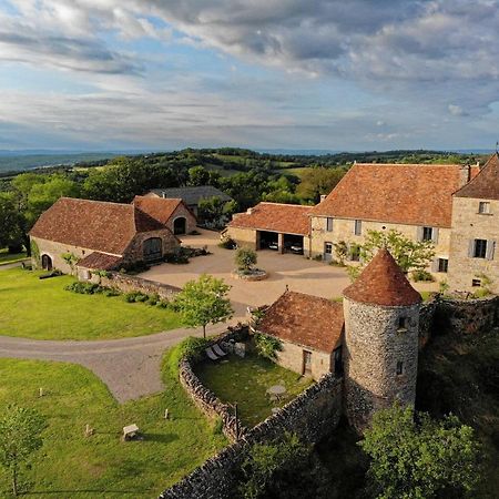 Gite 8 Pers Du Chateau De Cantecor アルヴィーニャック エクステリア 写真
